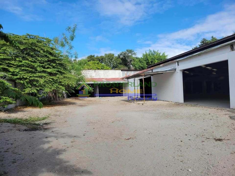 556551895_802634189080918_1536951797696076531_n