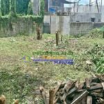 649338605_1379448713932730_1638479010409785851_n