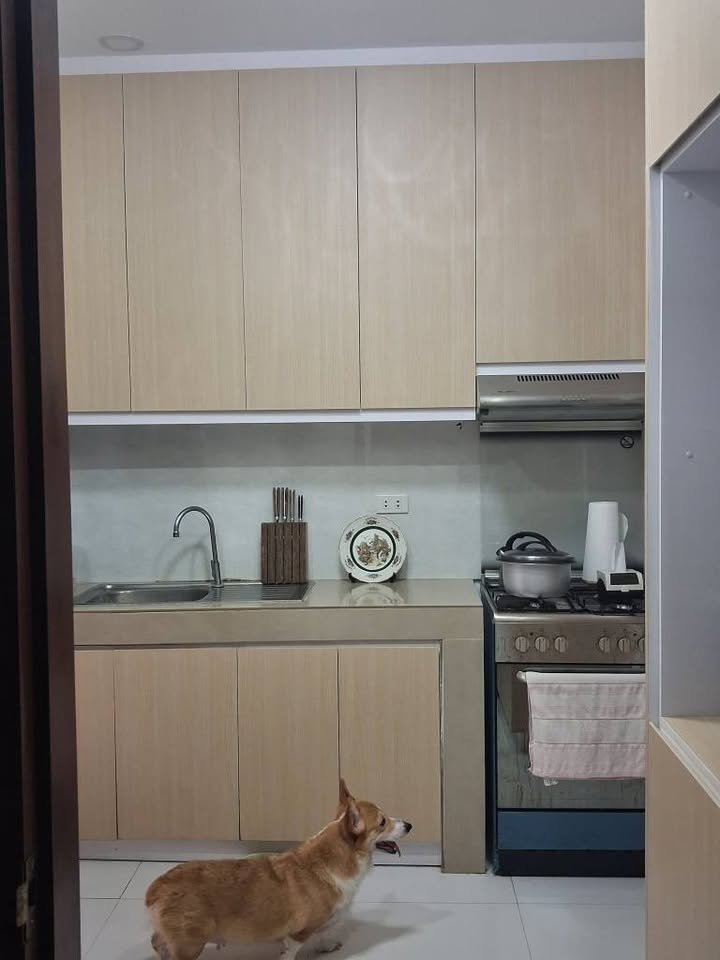 650213079_25657347437280473_3670465023993658713_n