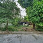 655961864_10233177699684766_5534252786645473735_n