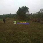 Copy of 648313461_1433020371878984_6811677049090115180_n