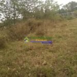 Copy of 648681002_1565772637830507_287593990074422534_n