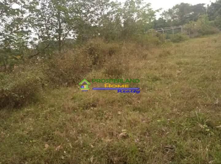 Copy of 648681002_1565772637830507_287593990074422534_n