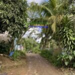 Copy of 650276992_1465025345328852_6490178988337014738_n