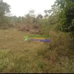 Copy of 651059983_1630613564842627_8578467605573961742_n