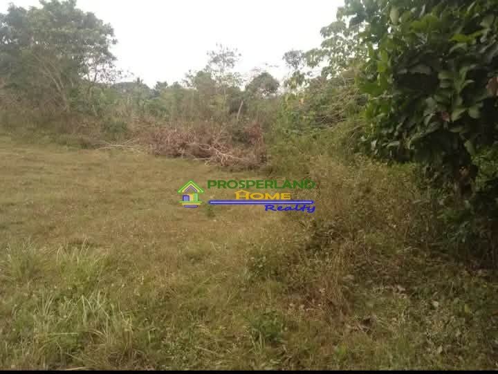 Copy of 651059983_1630613564842627_8578467605573961742_n