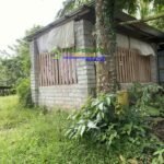 Copy of 651359180_949705887487338_7084577848413247131_n