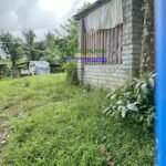 Copy of 651922228_2121843015273005_6806651353410432901_n