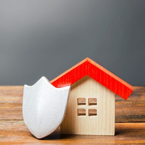A wooden house figurine stands protected by a shield.